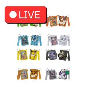 Eevee Card Case Gift Box